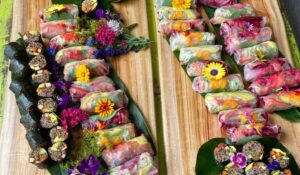 Summer rolls laid out on leaves, on wooden tabletop at New Earth Cafe 