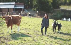 Miyoko with rescue cows and goats at sanctuary