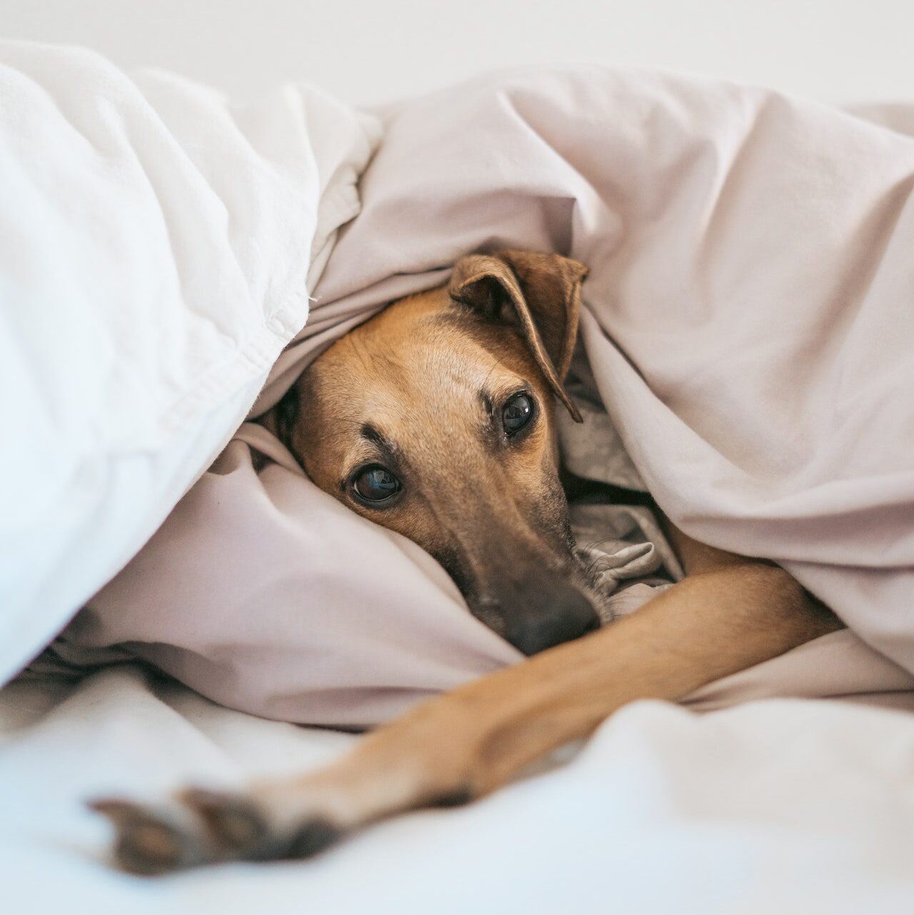 Skeletons in the closet: common household textiles and how to buy better