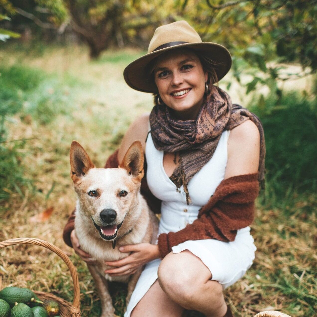 Katie White with doggie companion harvesting avocados