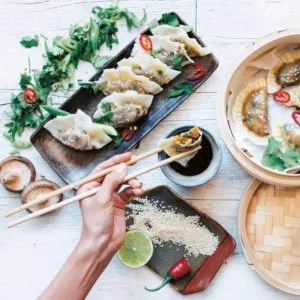 gyoza / vegan dumpling spread