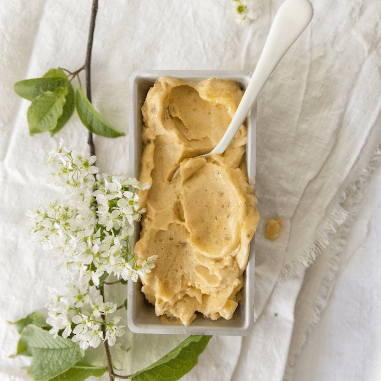 melon mango sorbet