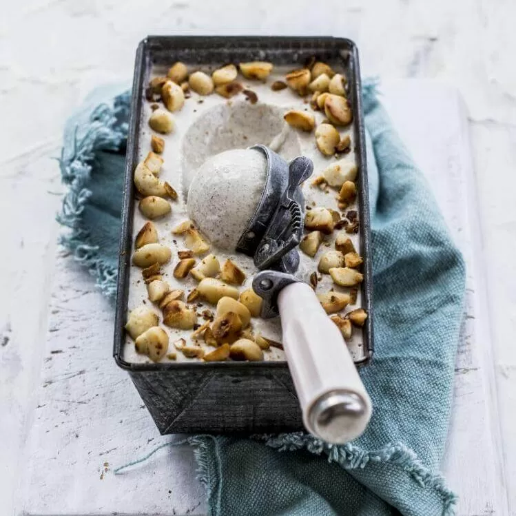 Wattleseed vegan ice cream