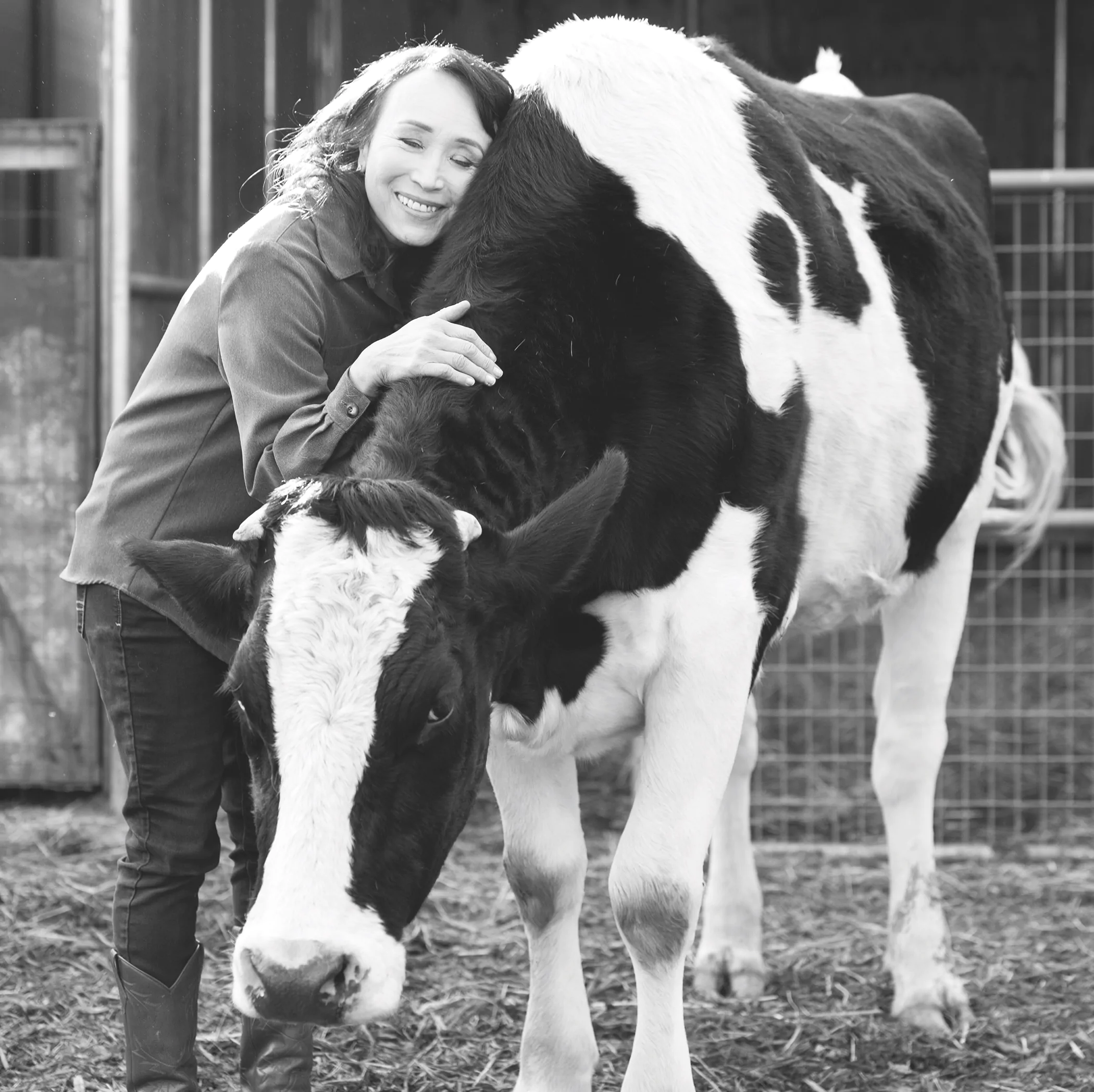 Miyoko Schinner with rescue cow