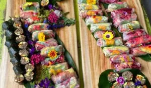 Summer rolls laid out on leaves, on wooden tabletop at New Earth Cafe 