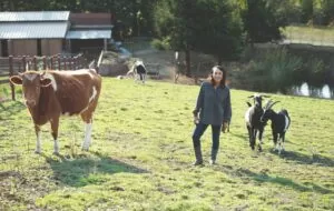Miyoko with rescue cows and goats at sanctuary