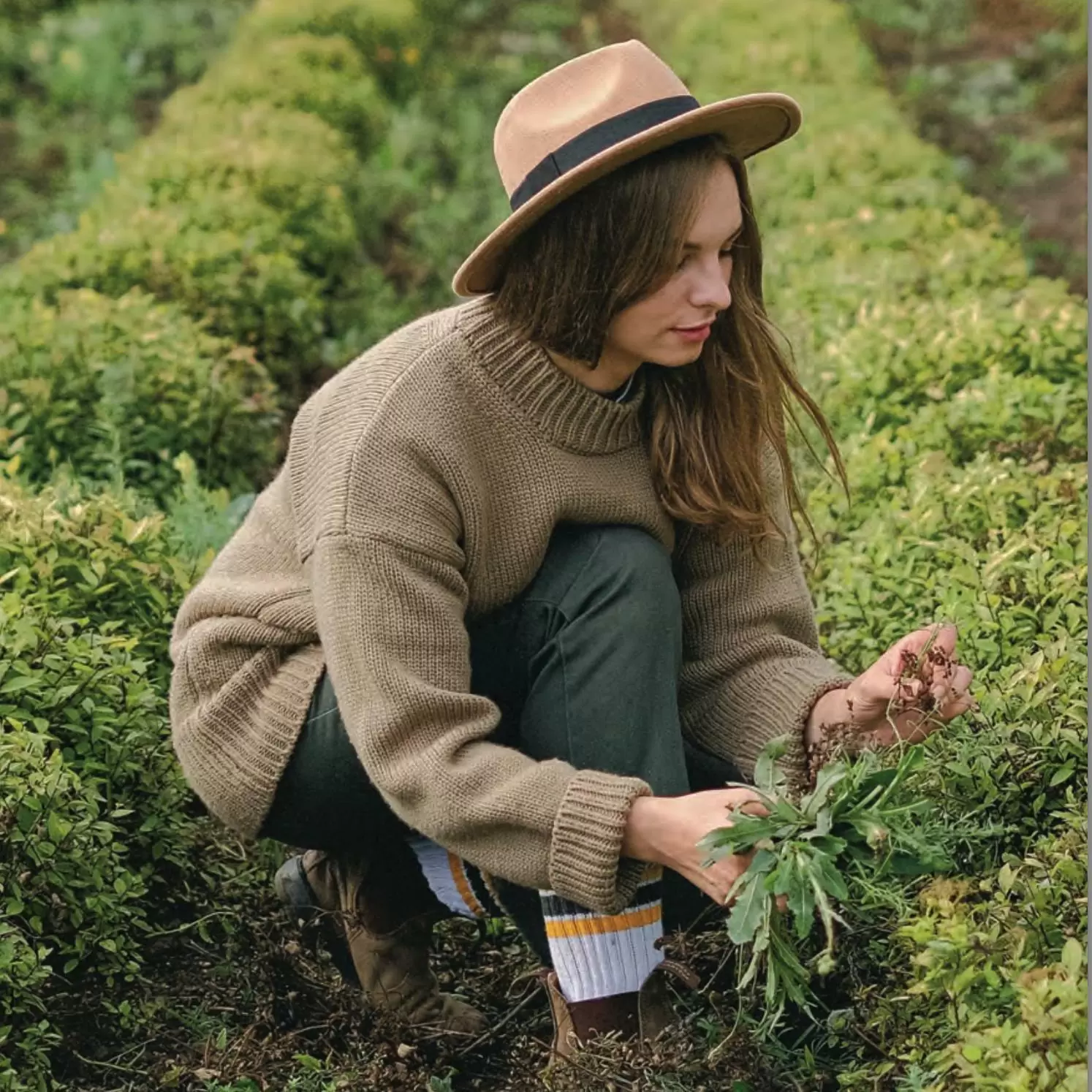 Spring Harvest - Katie White picking veggies - 1-1