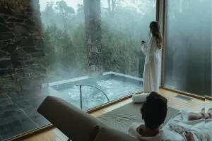 Waldheim Alpine Spa at Peppers Cradle Mountain Lodge, Tasmania - view from spa window