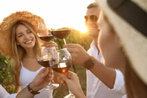 Friends clinking glasses at summer party